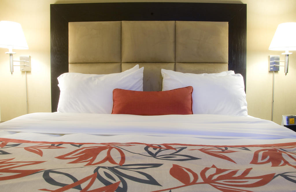 Ramada Plaza Crystal Palace Dieppe Pokój zdjęcie